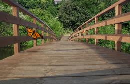 Thewoodenbridgepark